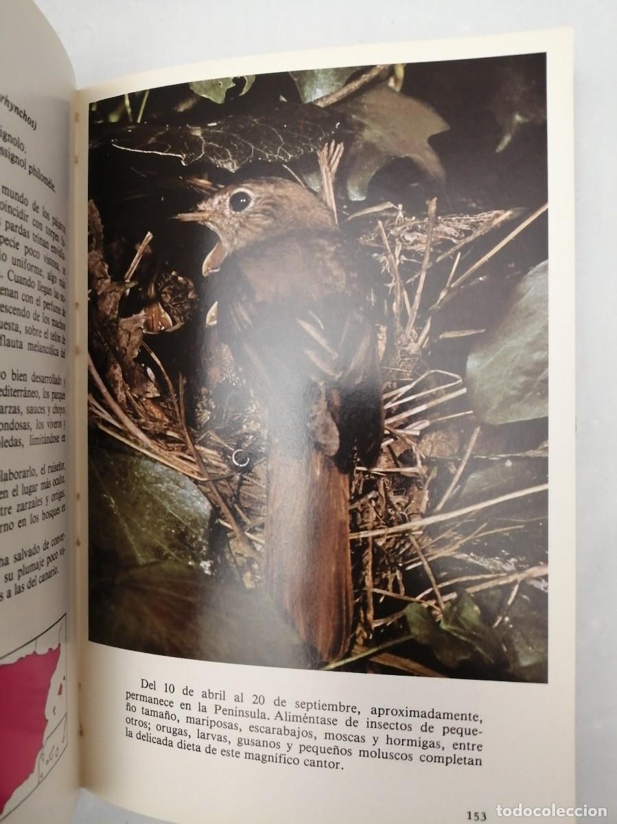 Libros de segunda mano: P&Aacute;JAROS DE NUESTROS CAMPOS Y BOSQUES - Foto 8