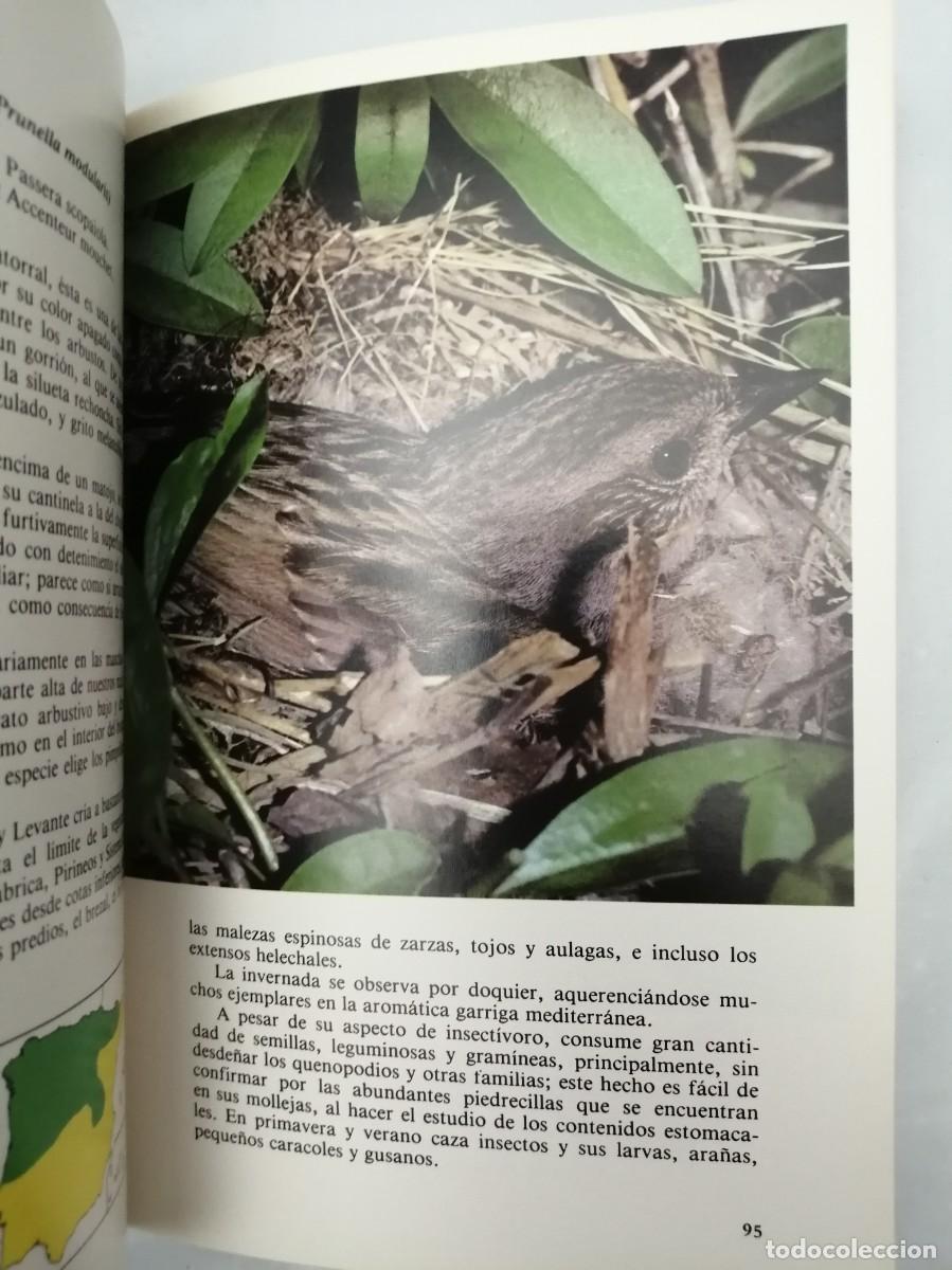 Libros de segunda mano: P&Aacute;JAROS DE NUESTROS CAMPOS Y BOSQUES - Foto 9