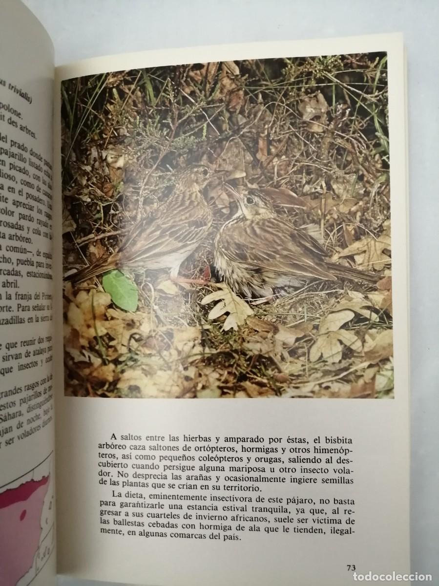 Libros de segunda mano: P&Aacute;JAROS DE NUESTROS CAMPOS Y BOSQUES - Foto 10
