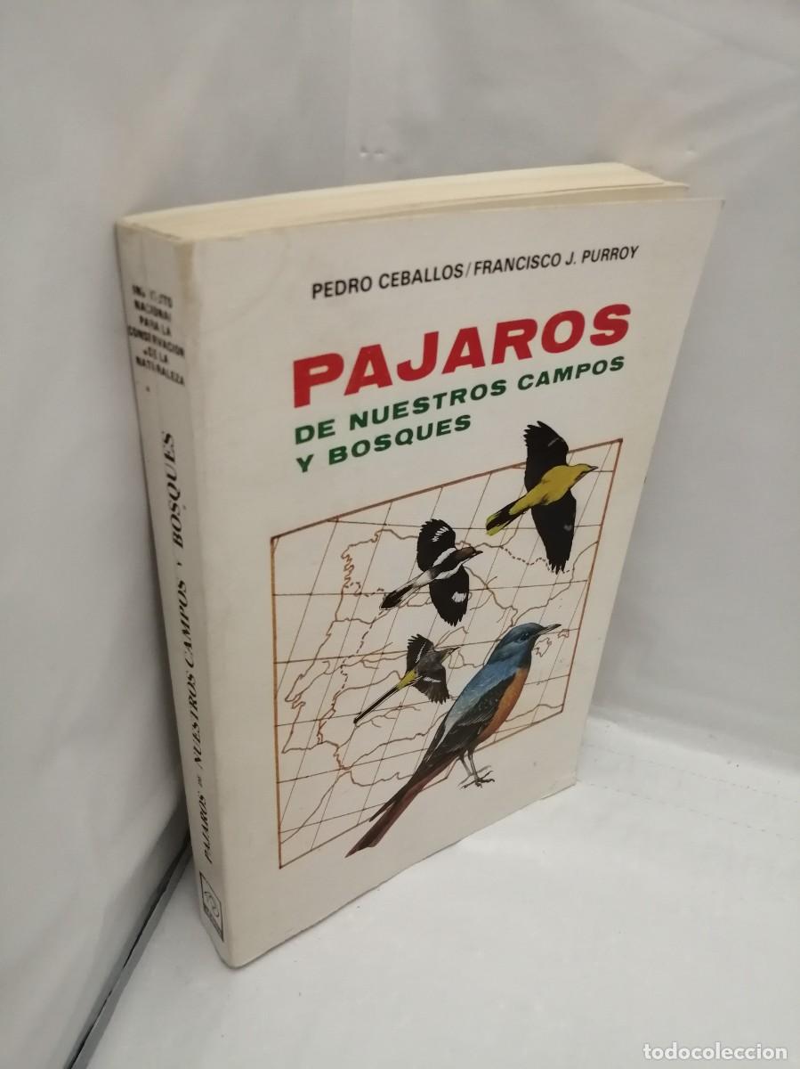 Libros de segunda mano: P&Aacute;JAROS DE NUESTROS CAMPOS Y BOSQUES - Foto 11