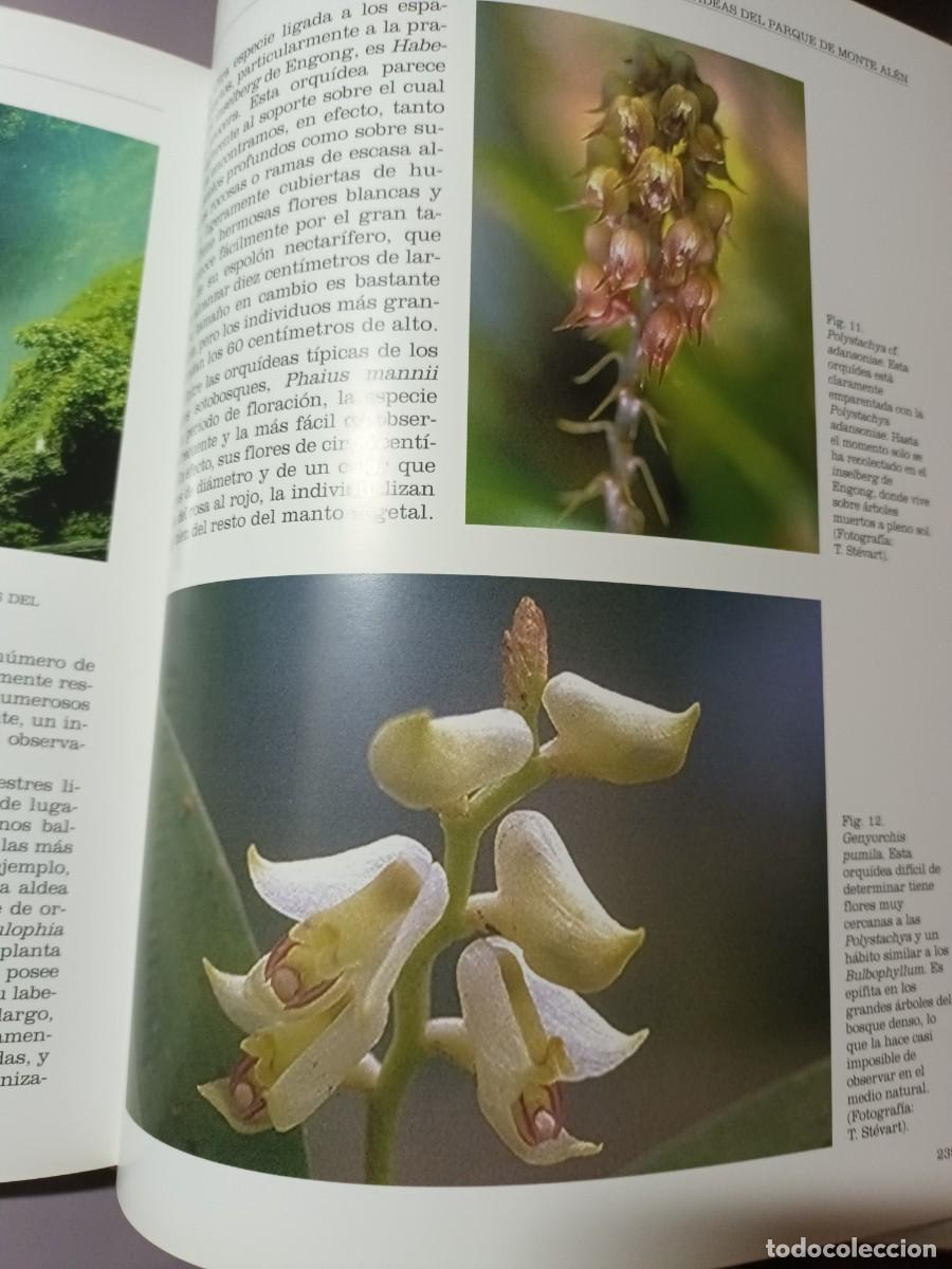 Libros de segunda mano: BOT&Aacute;NICA Y BOT&Aacute;NICOS EN GUINEA ECUATORIAL (REAL JARDIN BOT&Aacute;NICO. CSIC) - Foto 7