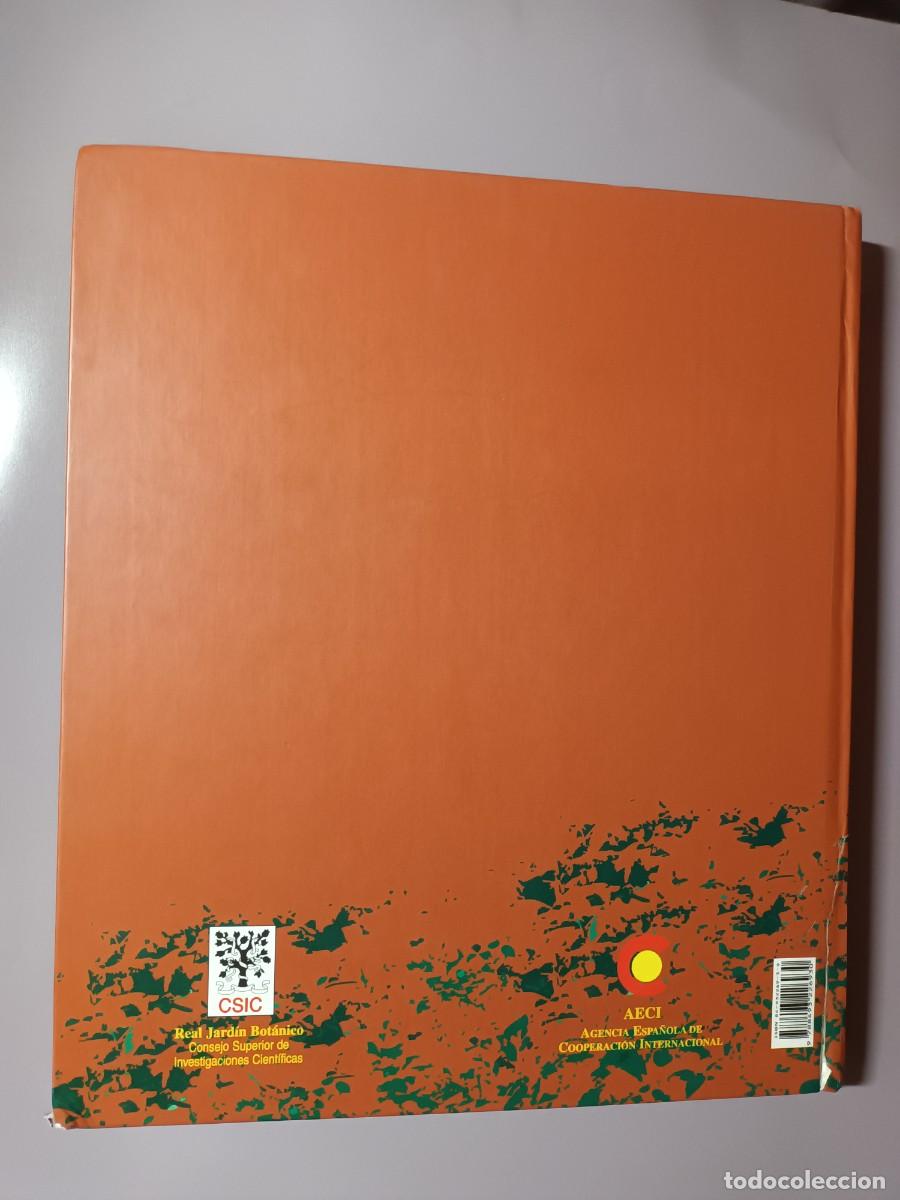 Libros de segunda mano: BOT&Aacute;NICA Y BOT&Aacute;NICOS EN GUINEA ECUATORIAL (REAL JARDIN BOT&Aacute;NICO. CSIC) - Foto 8