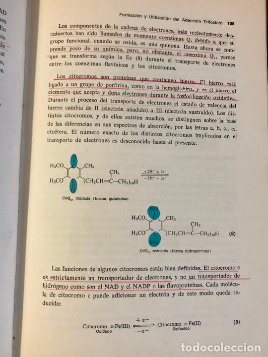 Libros de segunda mano de ciencias: Fundamentos modernos de bioqu&iacute;mica. Estructura y funci&oacute;n de las mol&eacute;culas biol&oacute;gicas Bennett Friede - Foto 6