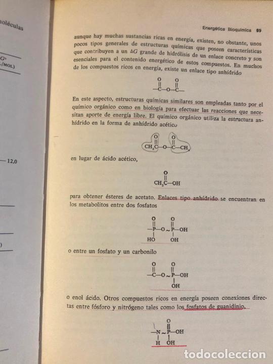 Libros de segunda mano de ciencias: Fundamentos modernos de bioqu&iacute;mica. Estructura y funci&oacute;n de las mol&eacute;culas biol&oacute;gicas Bennett Friede - Foto 7
