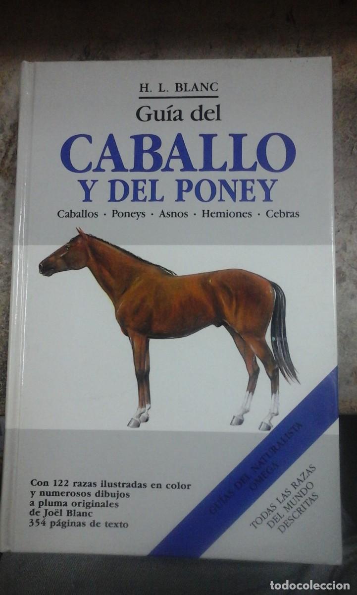 Libros de segunda mano: GU&Iacute;A DEL CABALLO Y DEL PONEY (Barcelona, 1987) - Foto 1