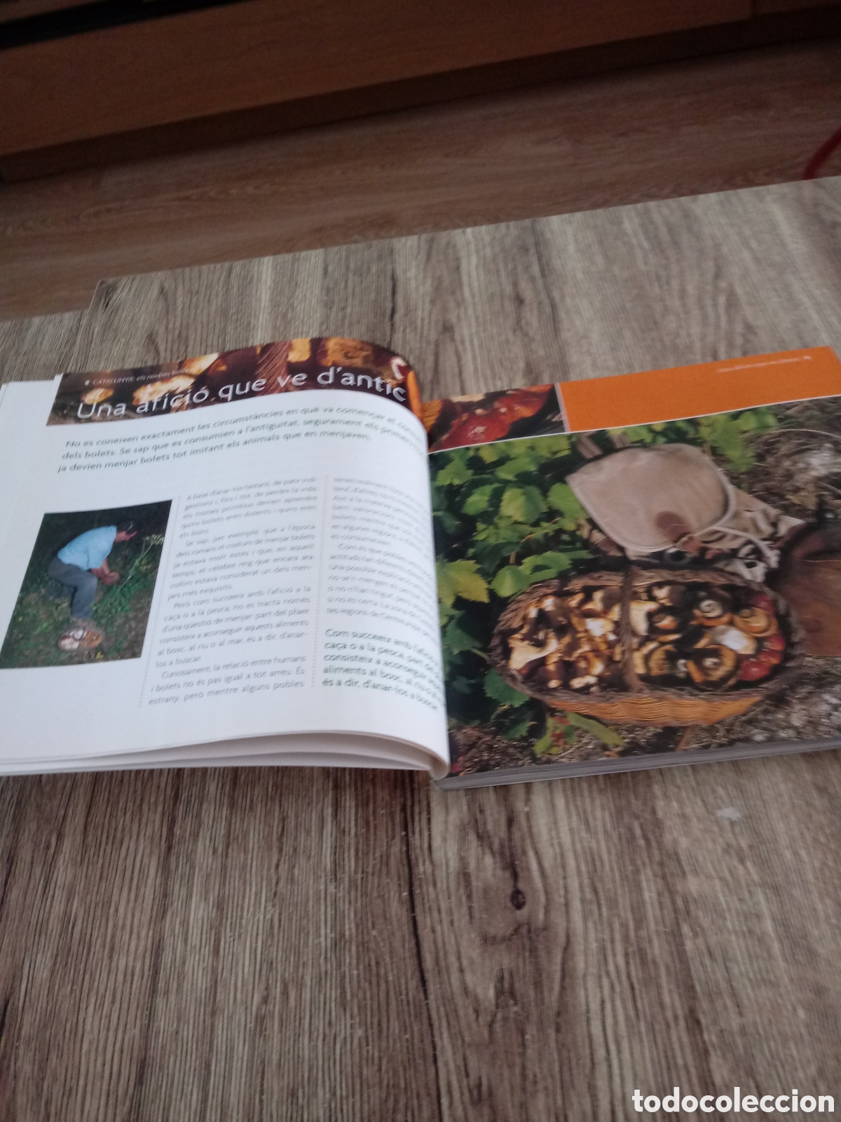 Libros de segunda mano: Catalunya:els nostres bolets - Foto 3