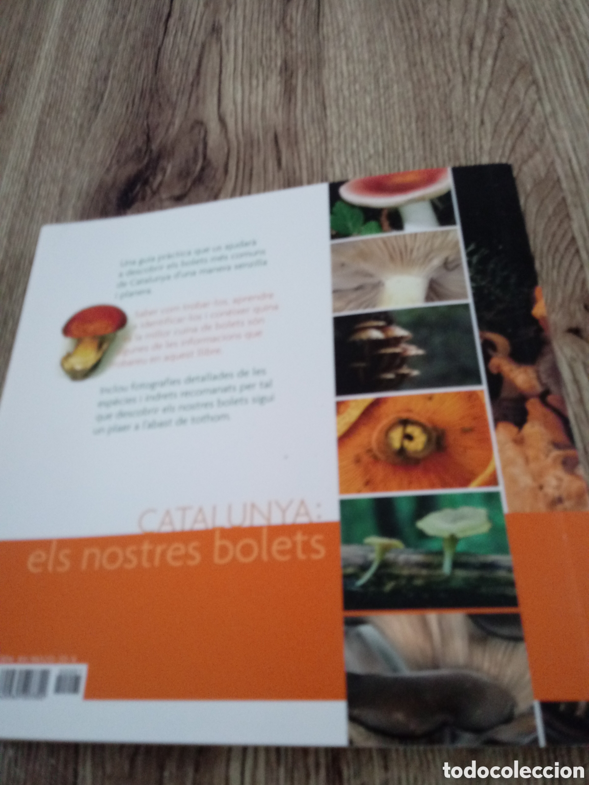 Libros de segunda mano: Catalunya:els nostres bolets - Foto 6