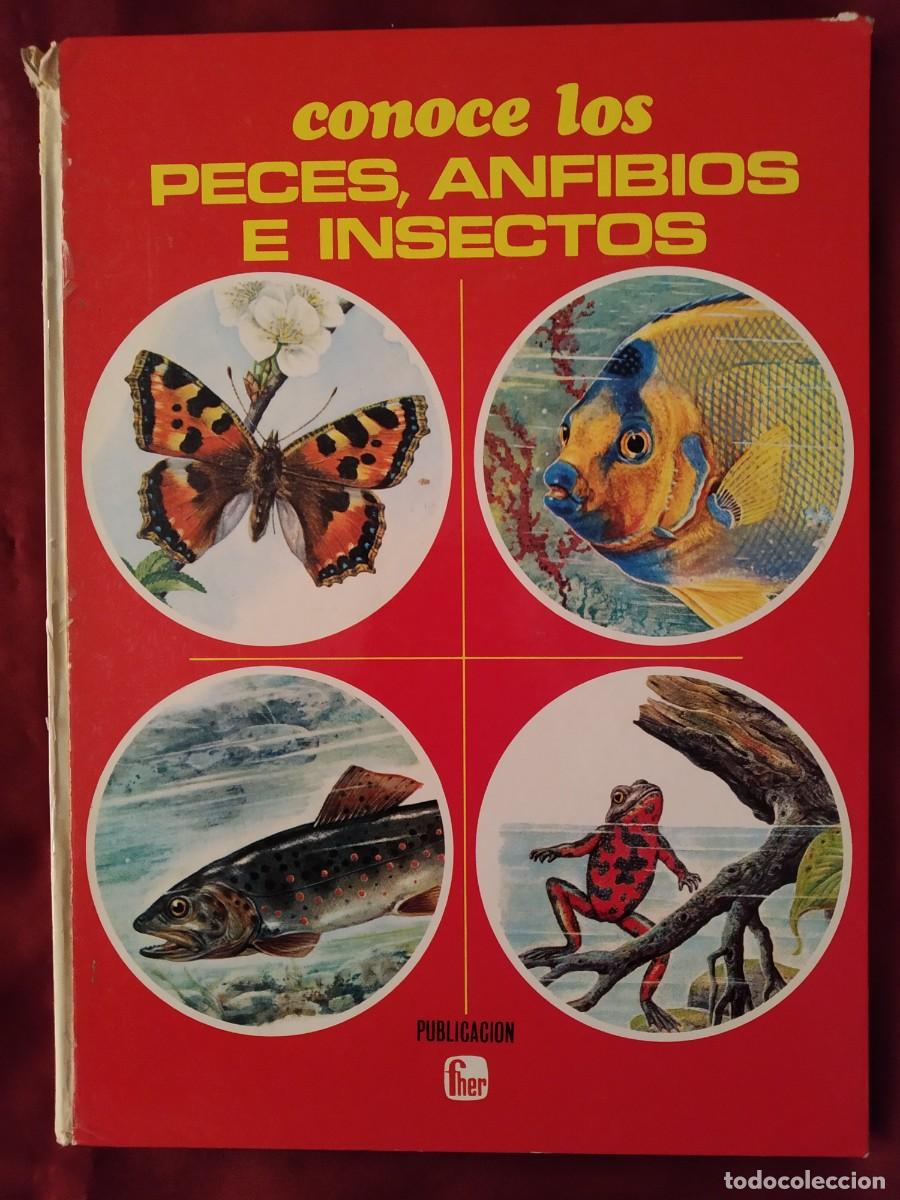 Libros de segunda mano: CONOCE LOS PECES, ANFIBIOS E INSECTOS EDITORIAL FHER 1971 - Foto 1