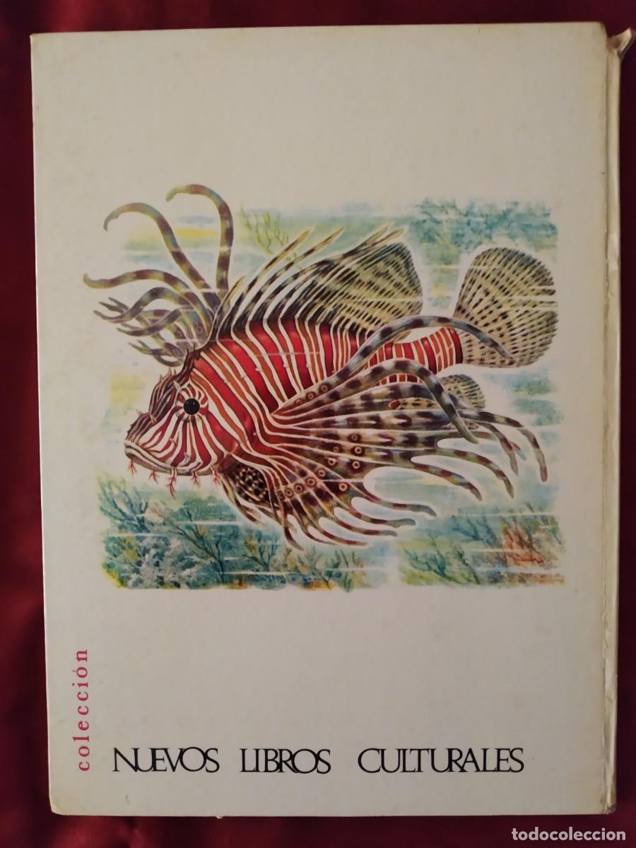 Libros de segunda mano: CONOCE LOS PECES, ANFIBIOS E INSECTOS EDITORIAL FHER 1971 - Foto 2