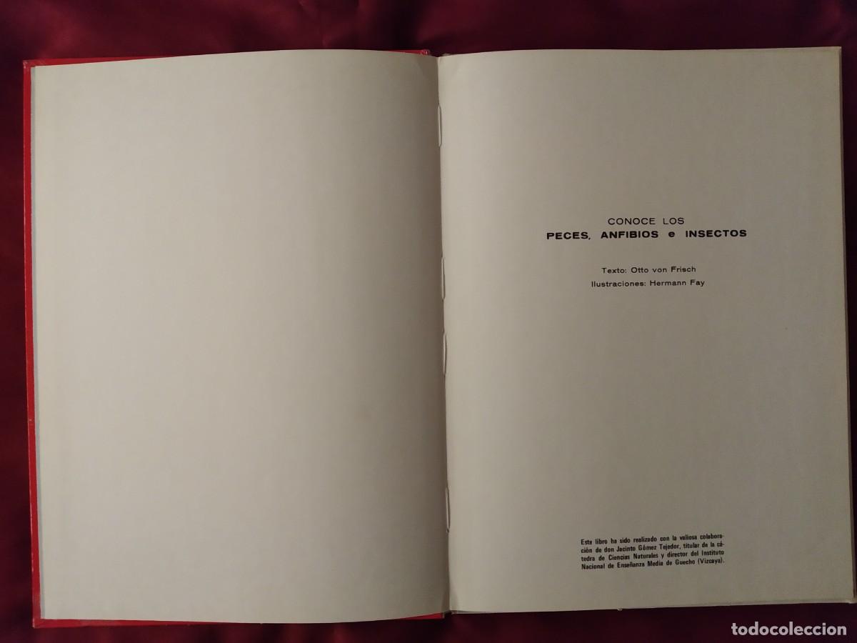 Libros de segunda mano: CONOCE LOS PECES, ANFIBIOS E INSECTOS EDITORIAL FHER 1971 - Foto 6