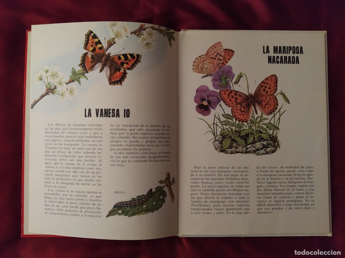 Libros de segunda mano: CONOCE LOS PECES, ANFIBIOS E INSECTOS EDITORIAL FHER 1971 - Foto 12