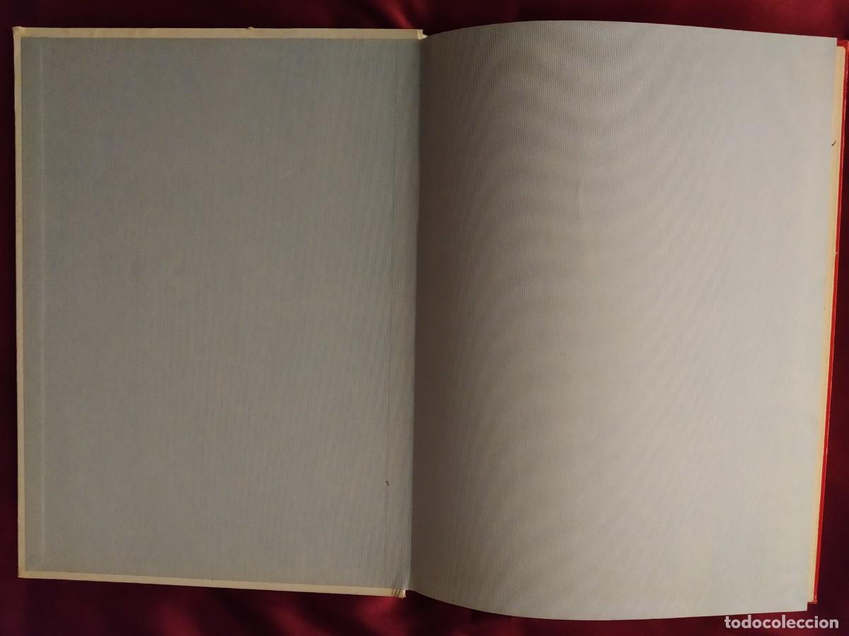 Libros de segunda mano: CONOCE LOS PECES, ANFIBIOS E INSECTOS EDITORIAL FHER 1971 - Foto 16