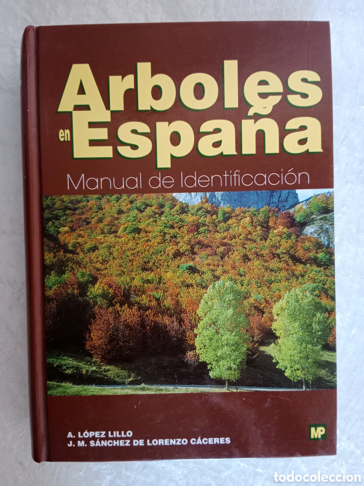 Second hand books: &Aacute;RBOLES EN ESPA&Ntilde;A, MANUAL DE IDENTIFICACI&Oacute;N, A. L&Oacute;PEZ LILLO-S&Aacute;NCHEZ DE LORENZO C&Aacute;CERES