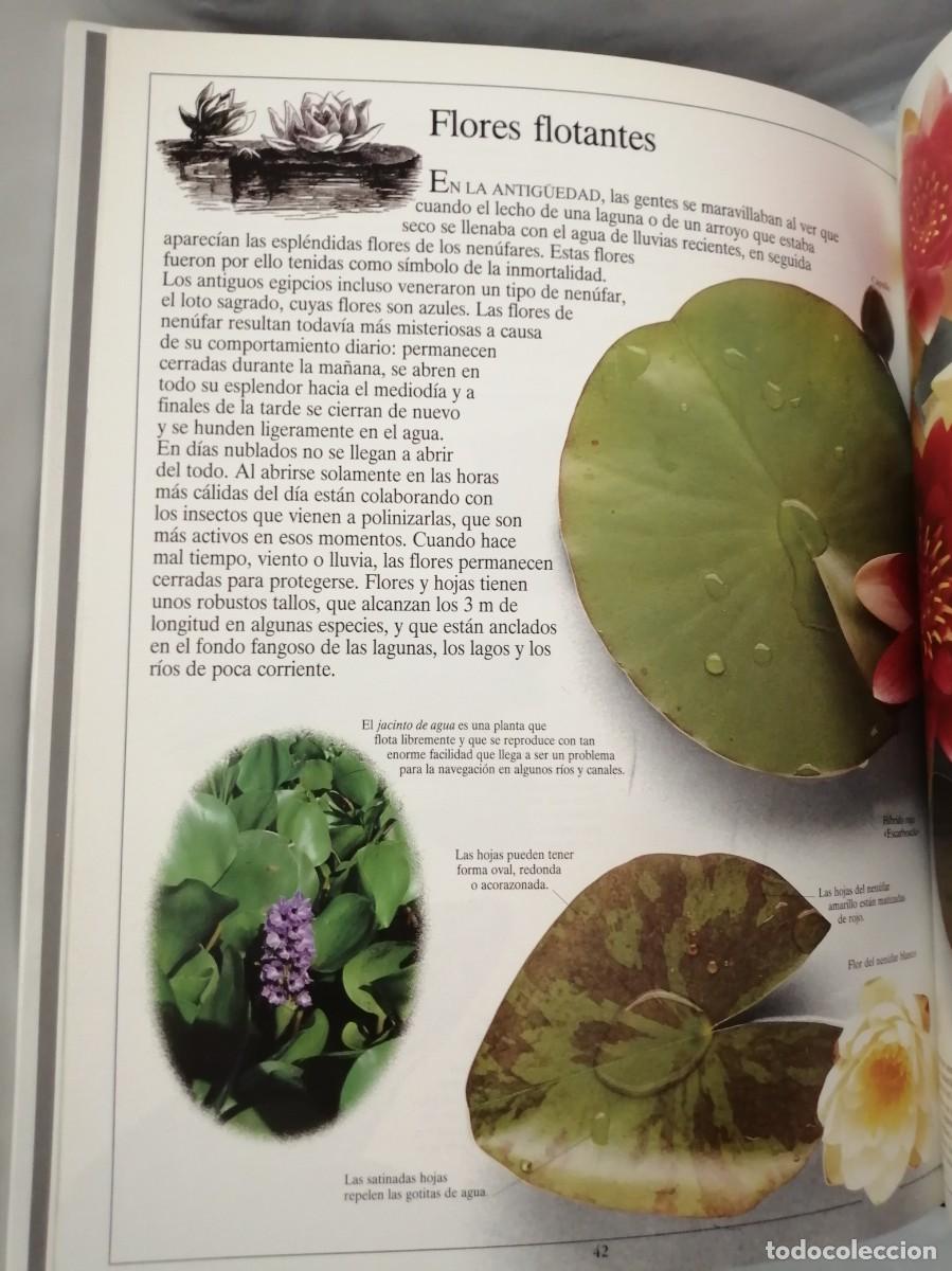 Libros de segunda mano: EL R&Iacute;O Y LA LAGUNA (BIBLIOTECA VISUAL ALTEA, TAPA DURA) - Foto 6