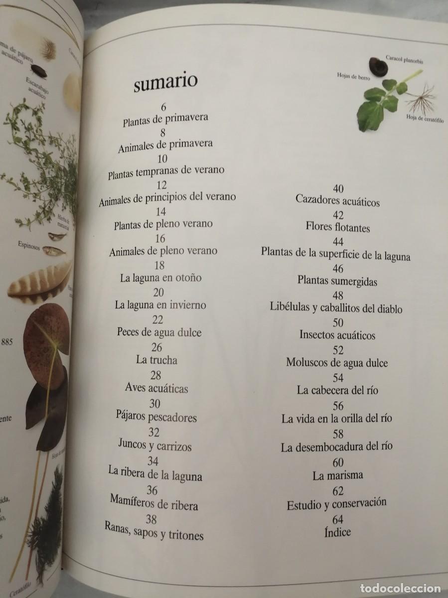 Libros de segunda mano: EL R&Iacute;O Y LA LAGUNA (BIBLIOTECA VISUAL ALTEA, TAPA DURA) - Foto 3