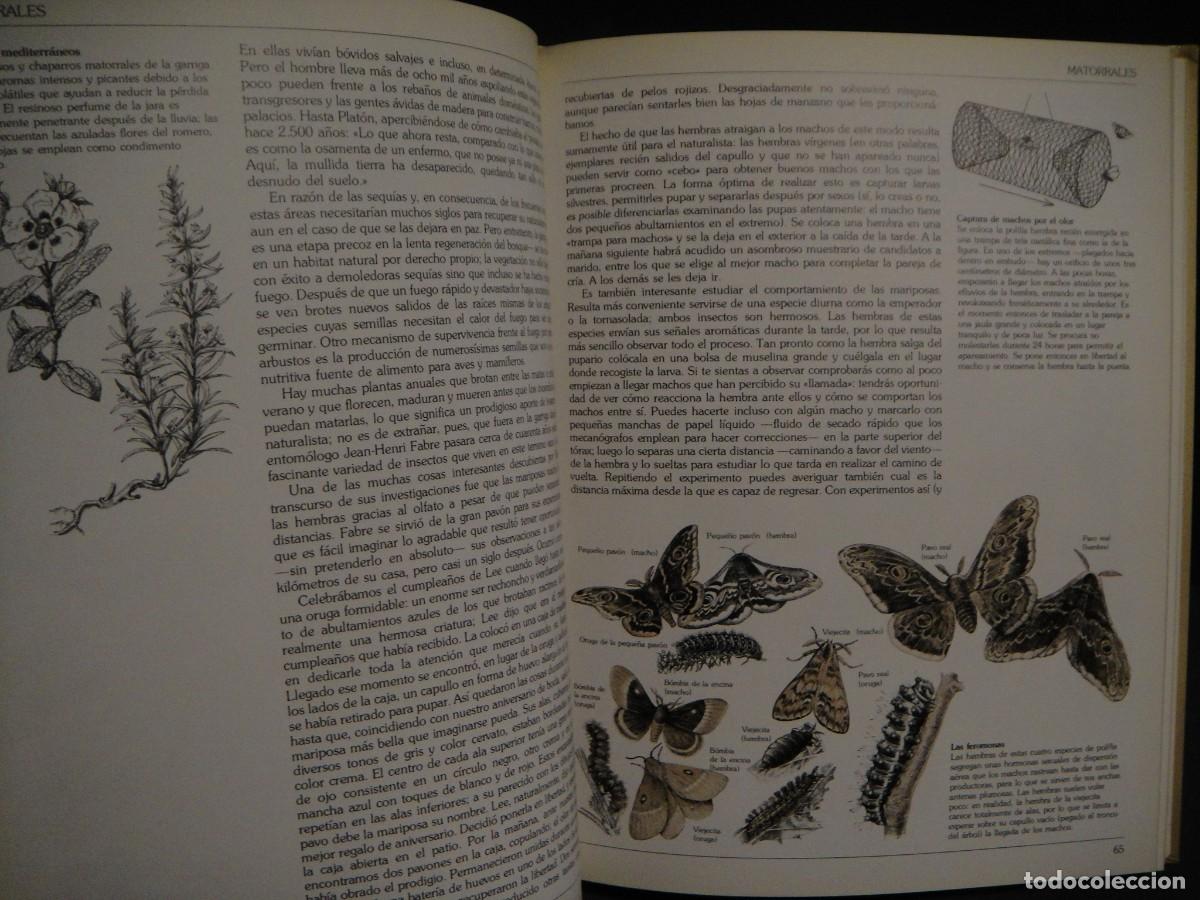 Libros de segunda mano: guia del naturalista - gerald durrell - Foto 3