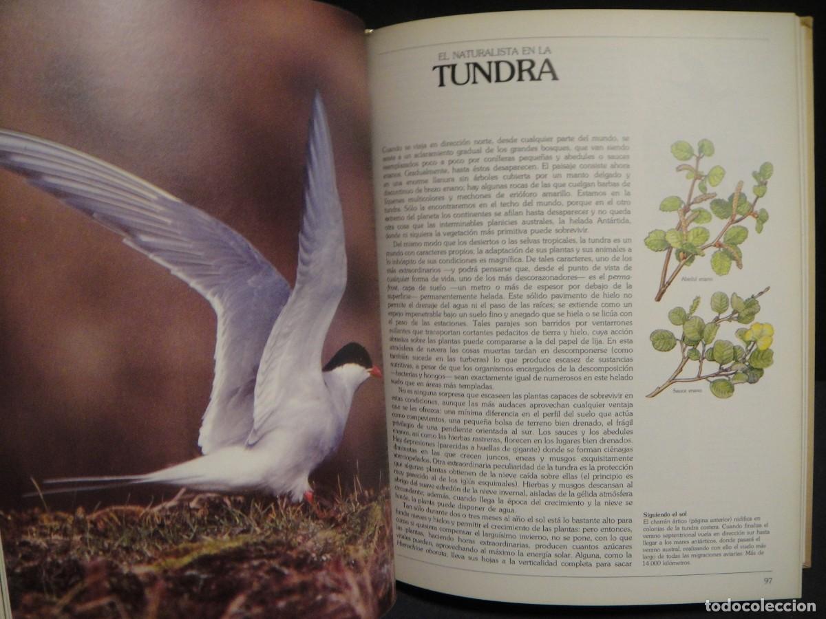 Libros de segunda mano: guia del naturalista - gerald durrell - Foto 4