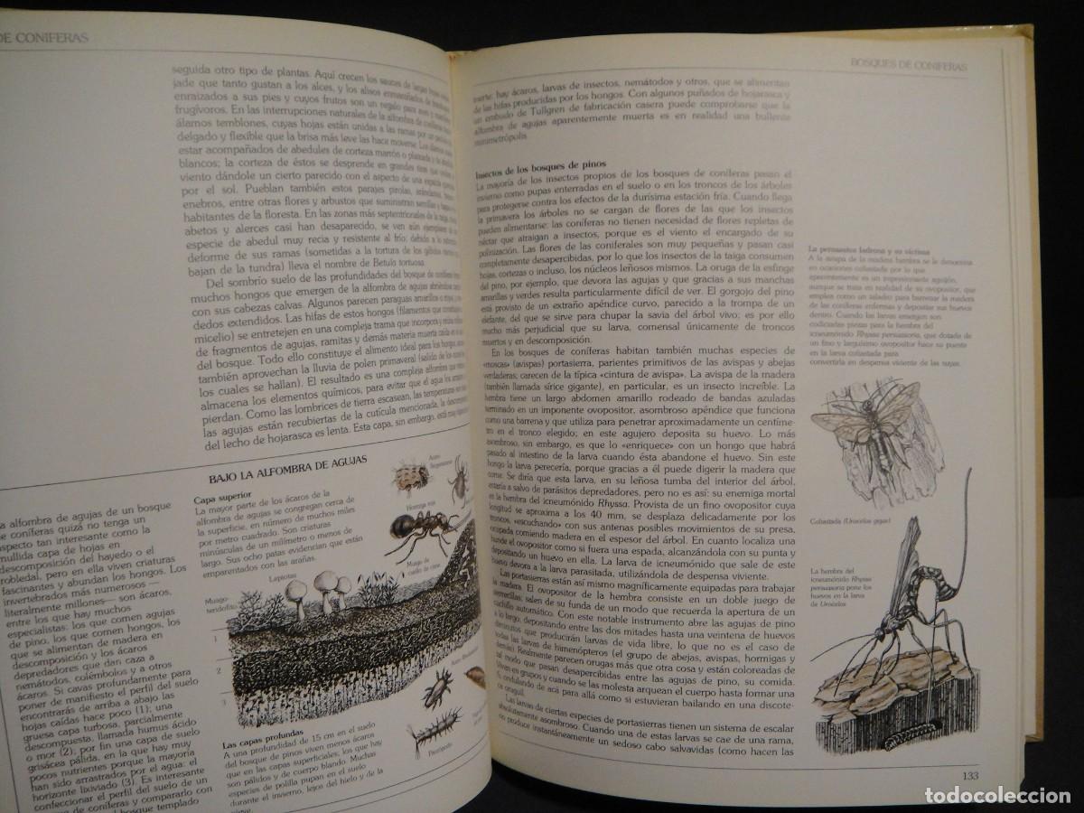 Libros de segunda mano: guia del naturalista - gerald durrell - Foto 5