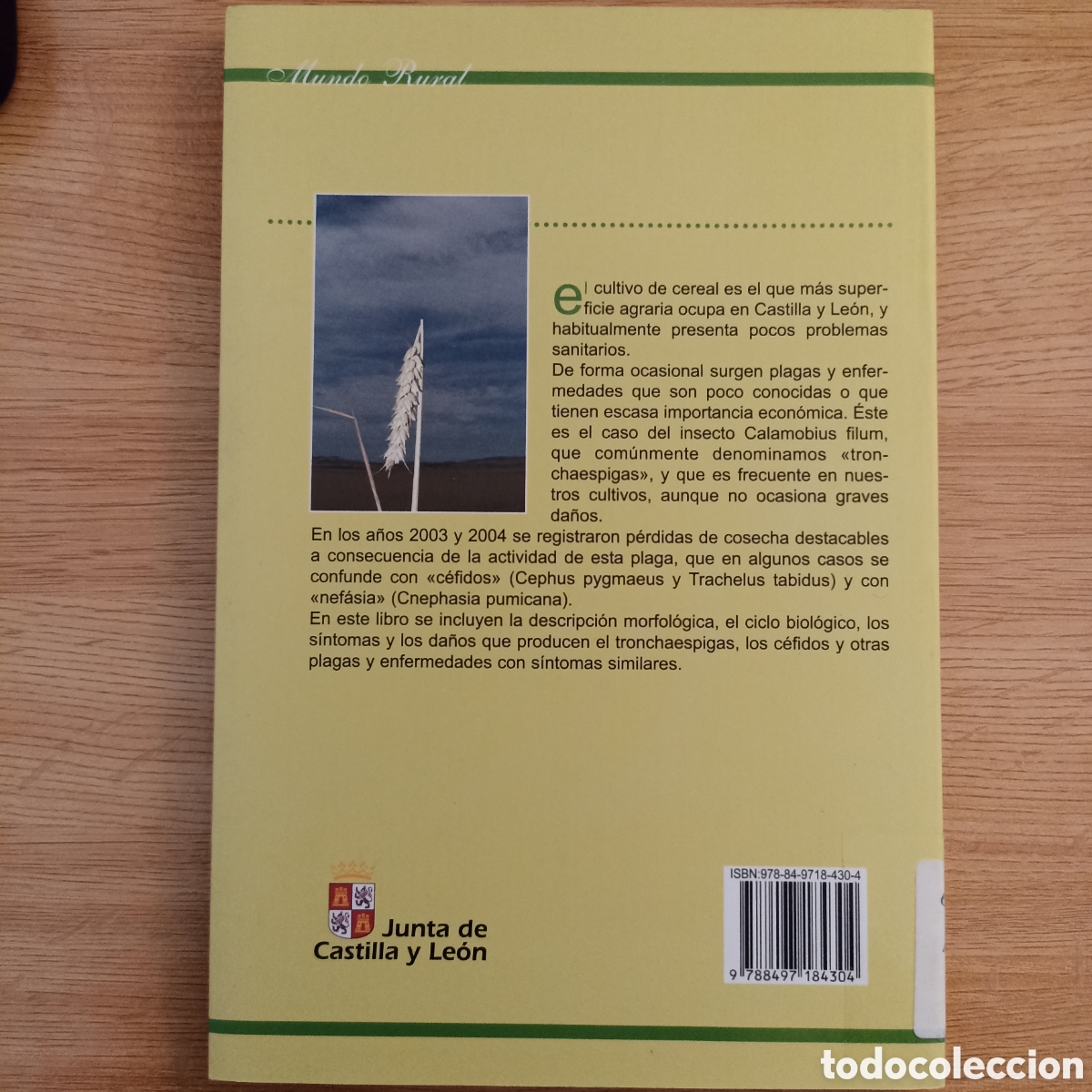Libros de segunda mano: Los Tronchaespigas. VV.AA. Junta de Castilla y Le&oacute;n. - Foto 2