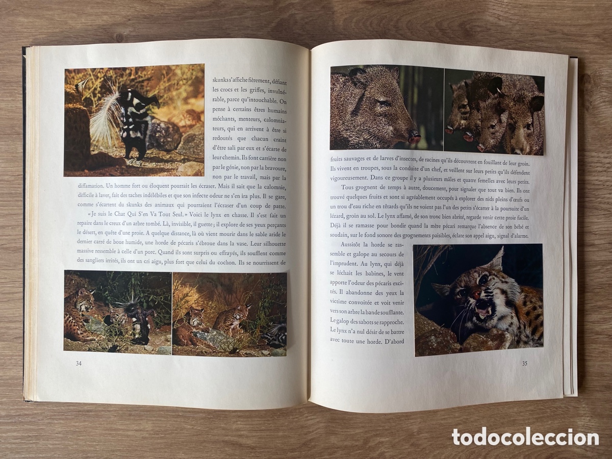 Libros de segunda mano: DESERT VIVANT - WALT DISNEY - EN FRANCES - 1954 - Foto 4