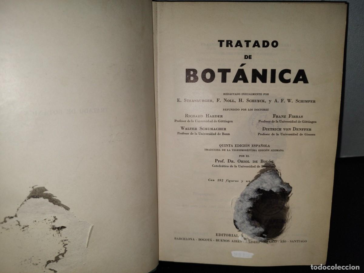 Libros de segunda mano: 47- TRATADO DE BOT&Aacute;NICA - E. STRASBURGER - 1971 - Foto 5