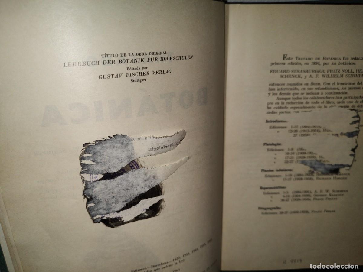 Libros de segunda mano: 47- TRATADO DE BOT&Aacute;NICA - E. STRASBURGER - 1971 - Foto 7