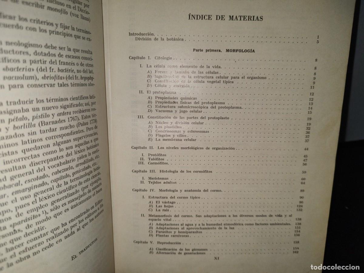 Libros de segunda mano: 47- TRATADO DE BOT&Aacute;NICA - E. STRASBURGER - 1971 - Foto 9