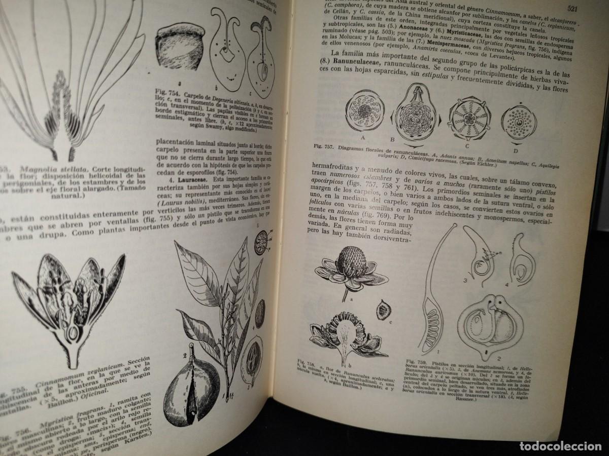 Libros de segunda mano: 47- TRATADO DE BOT&Aacute;NICA - E. STRASBURGER - 1971 - Foto 16