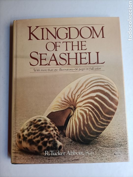 Libros de segunda mano: Kingdom if the seashell . Libro en ingl&eacute;s. El reino de la concha - Foto 2