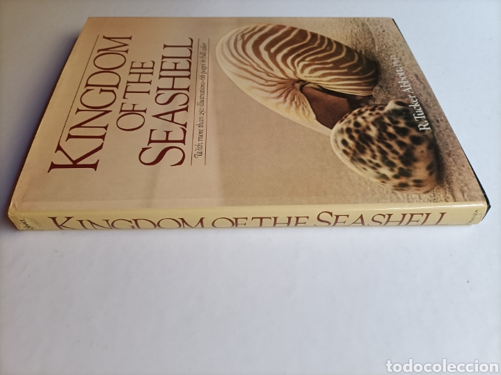 Libros de segunda mano: Kingdom if the seashell . Libro en ingl&eacute;s. El reino de la concha - Foto 4