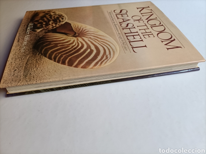 Libros de segunda mano: Kingdom if the seashell . Libro en ingl&eacute;s. El reino de la concha - Foto 5