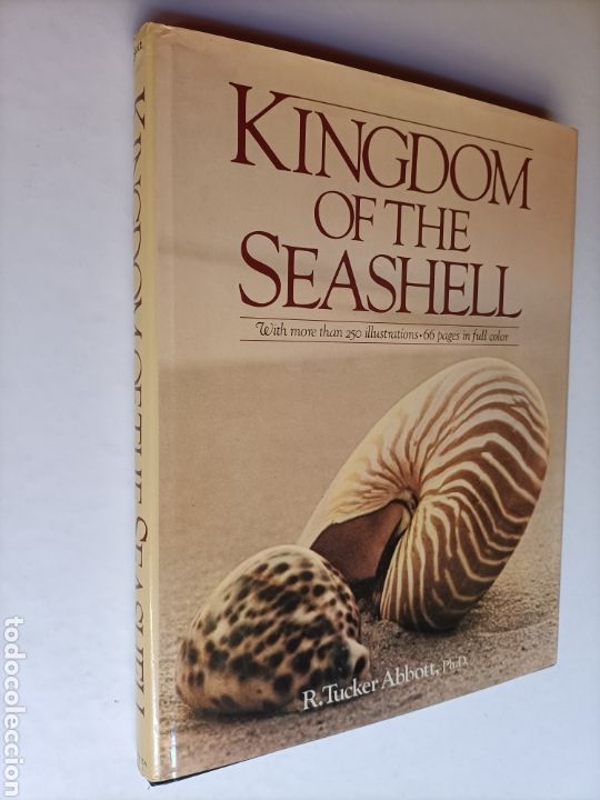 Libros de segunda mano: Kingdom if the seashell . Libro en ingl&eacute;s. El reino de la concha - Foto 1