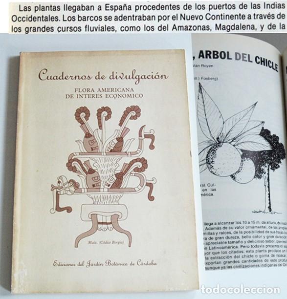 Libros de segunda mano: FLORA AMERICANA DE INTER&Eacute;S ECON&Oacute;MICO - LIBRO CUADERNOS DIVULGACI&Oacute;N PLANTAS BOT&Aacute;NICA CIENCIAS AM&Eacute;RICA
