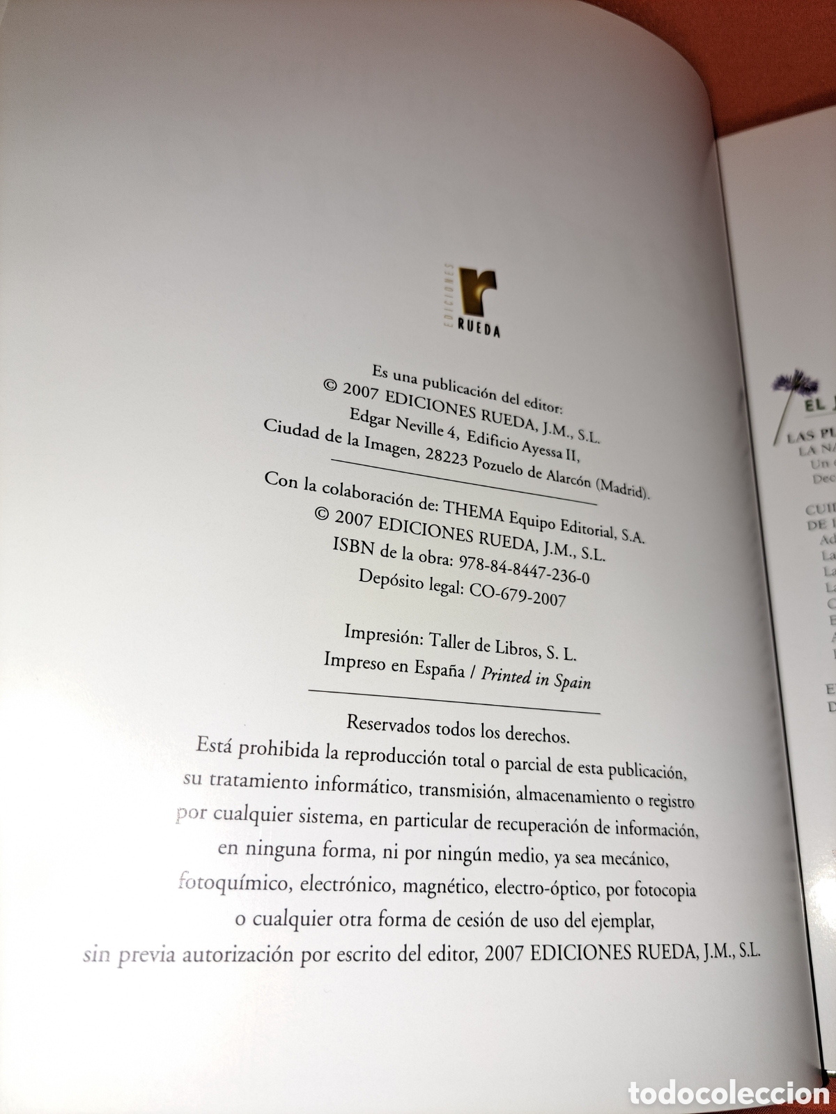 Libros de segunda mano: EL GRAN LIBRO DE LA JARDINER&Iacute;A, EDICIONES RUEDA - Foto 2
