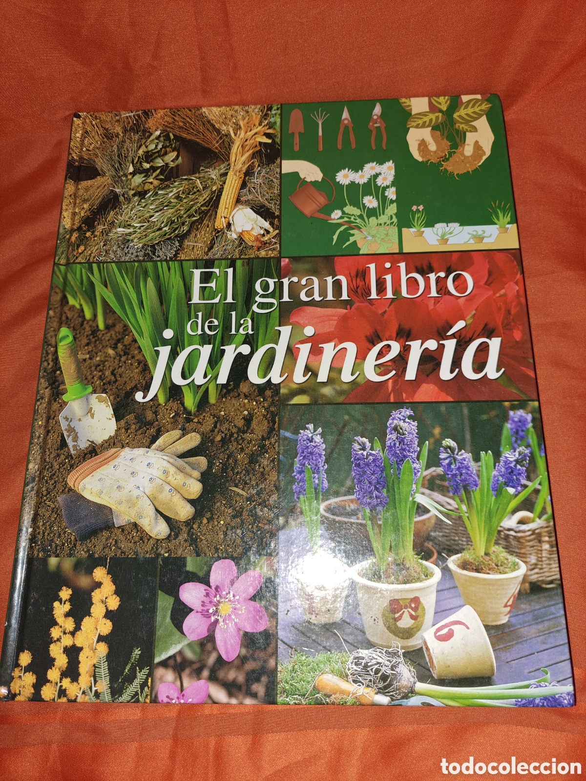 Libros de segunda mano: EL GRAN LIBRO DE LA JARDINER&Iacute;A, EDICIONES RUEDA - Foto 1