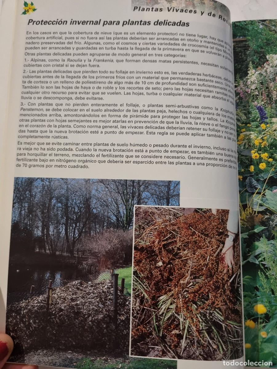 Libros de segunda mano: PLANTAS VIVACES Y DE ROCALLA. ALAN BLOOM. NAVARRA, 1999. - Foto 6