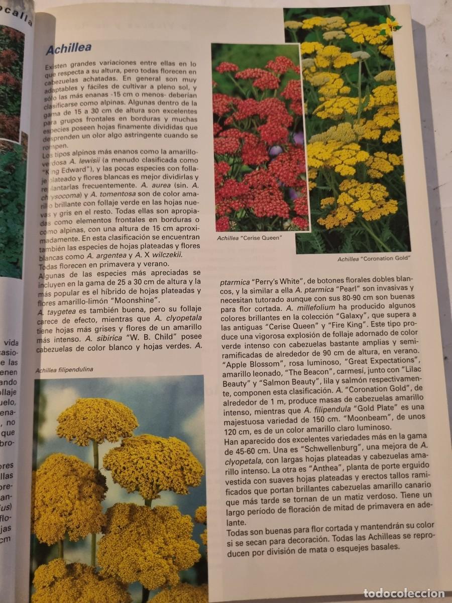 Libros de segunda mano: PLANTAS VIVACES Y DE ROCALLA. ALAN BLOOM. NAVARRA, 1999. - Foto 7