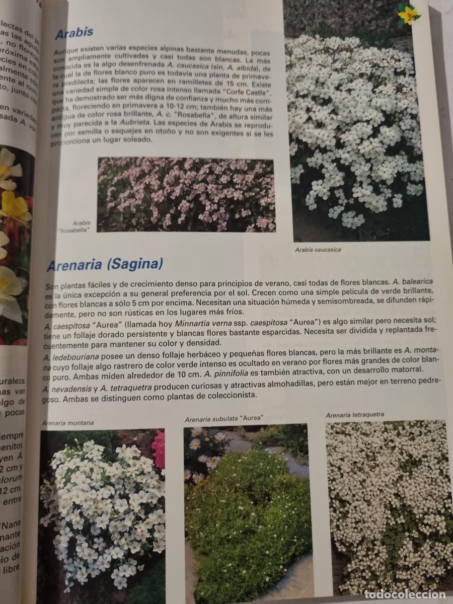 Libros de segunda mano: PLANTAS VIVACES Y DE ROCALLA. ALAN BLOOM. NAVARRA, 1999. - Foto 8