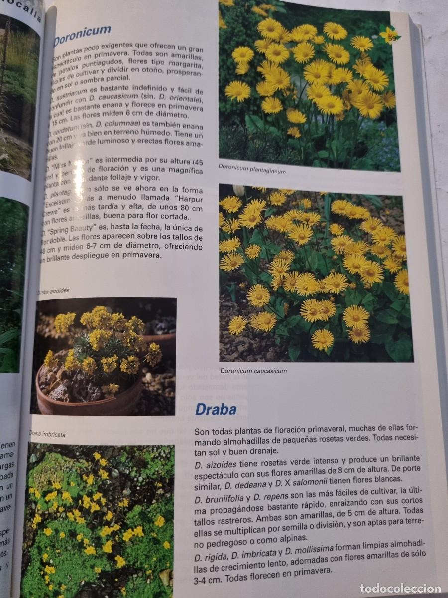 Libros de segunda mano: PLANTAS VIVACES Y DE ROCALLA. ALAN BLOOM. NAVARRA, 1999. - Foto 9