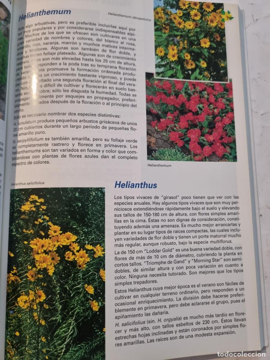 Libros de segunda mano: PLANTAS VIVACES Y DE ROCALLA. ALAN BLOOM. NAVARRA, 1999. - Foto 10