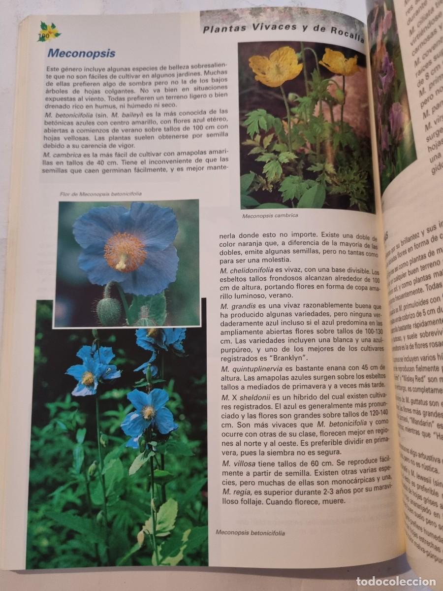Libros de segunda mano: PLANTAS VIVACES Y DE ROCALLA. ALAN BLOOM. NAVARRA, 1999. - Foto 11