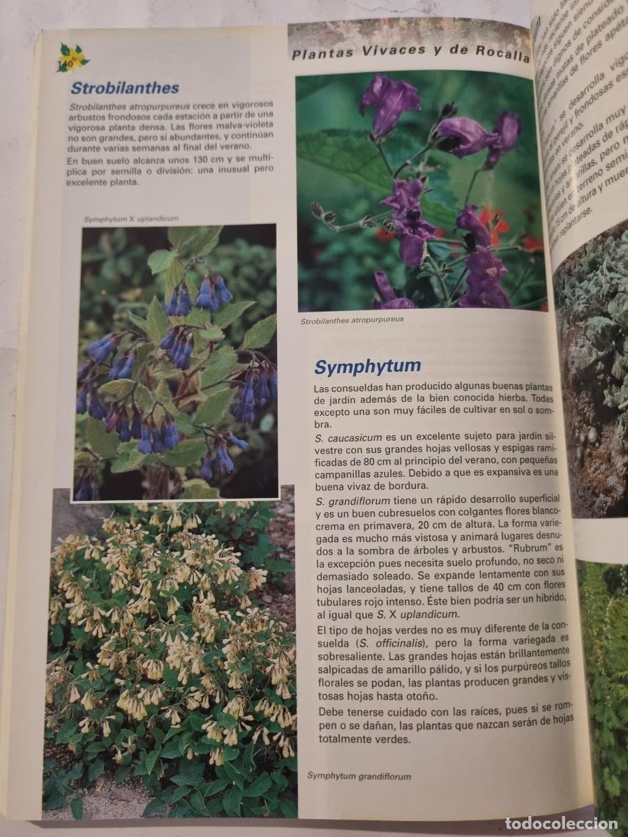 Libros de segunda mano: PLANTAS VIVACES Y DE ROCALLA. ALAN BLOOM. NAVARRA, 1999. - Foto 12