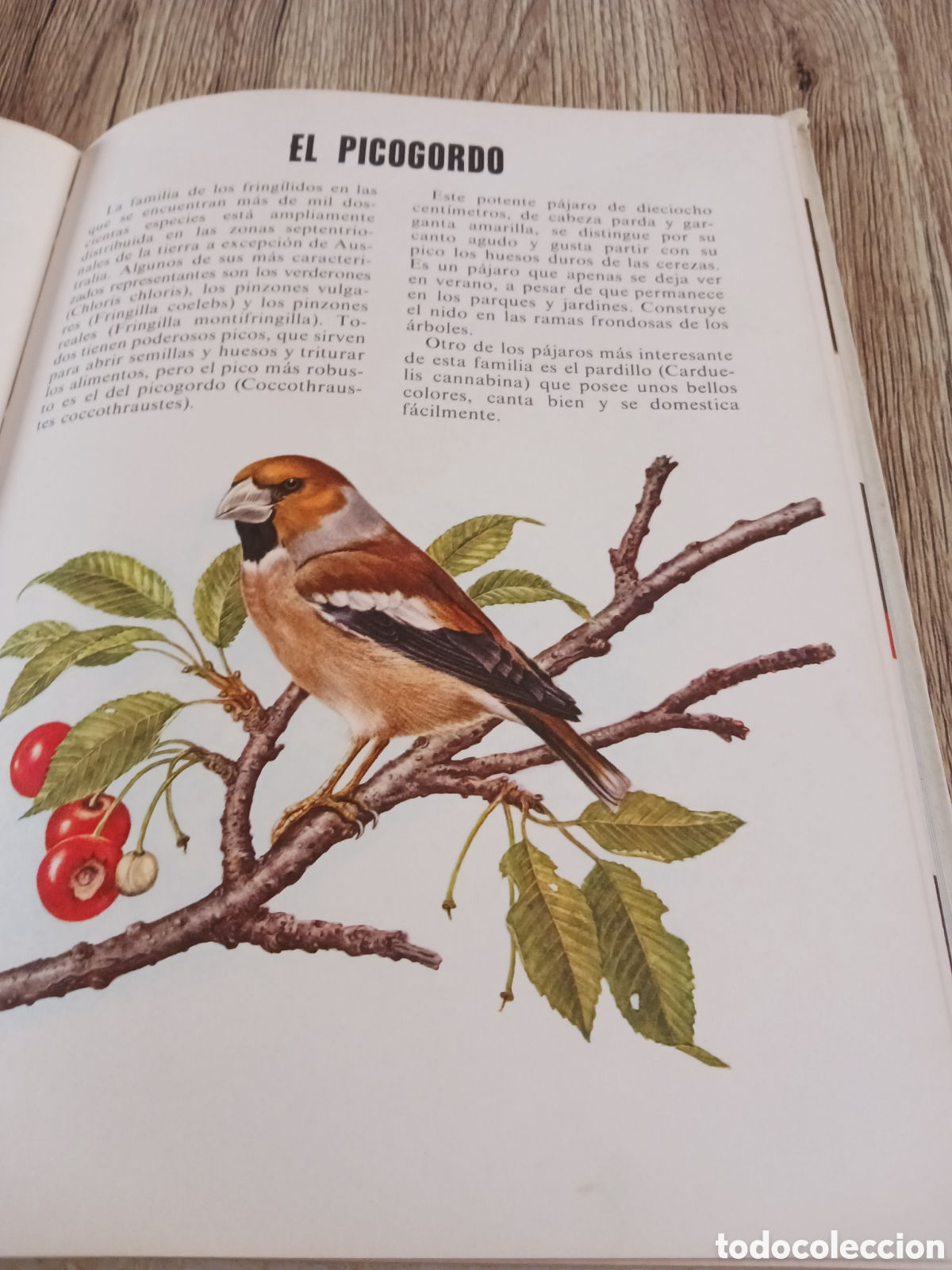 Libros de segunda mano: Conoce las Aves y los Reptiles. - Foto 5