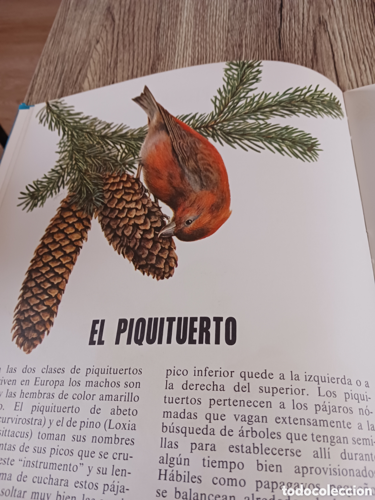 Libros de segunda mano: Conoce las Aves y los Reptiles. - Foto 6