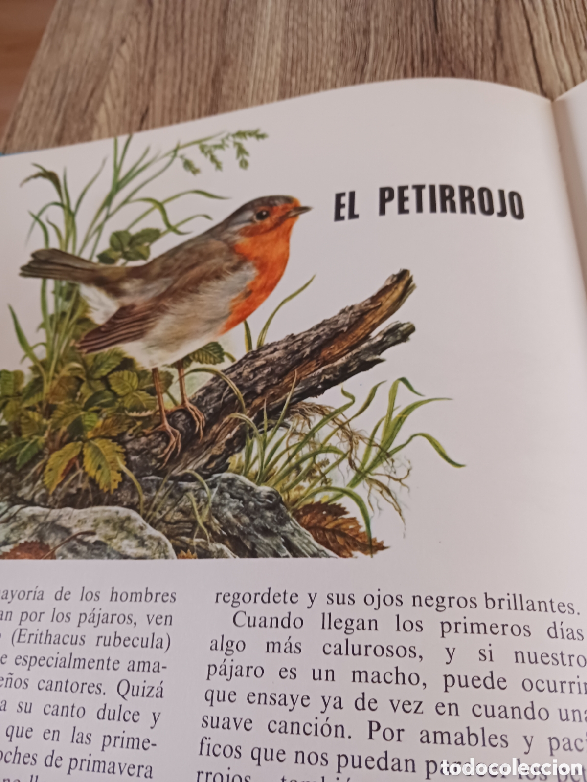 Libros de segunda mano: Conoce las Aves y los Reptiles. - Foto 9