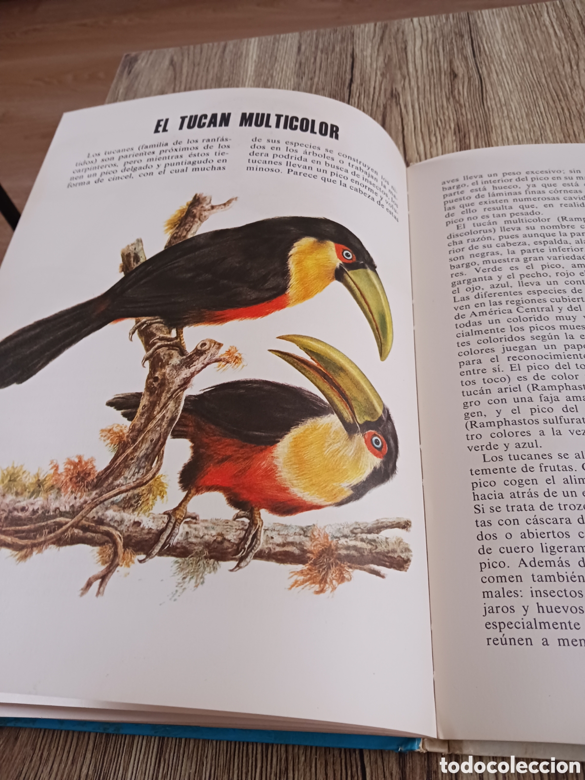 Libros de segunda mano: Conoce las Aves y los Reptiles. - Foto 11