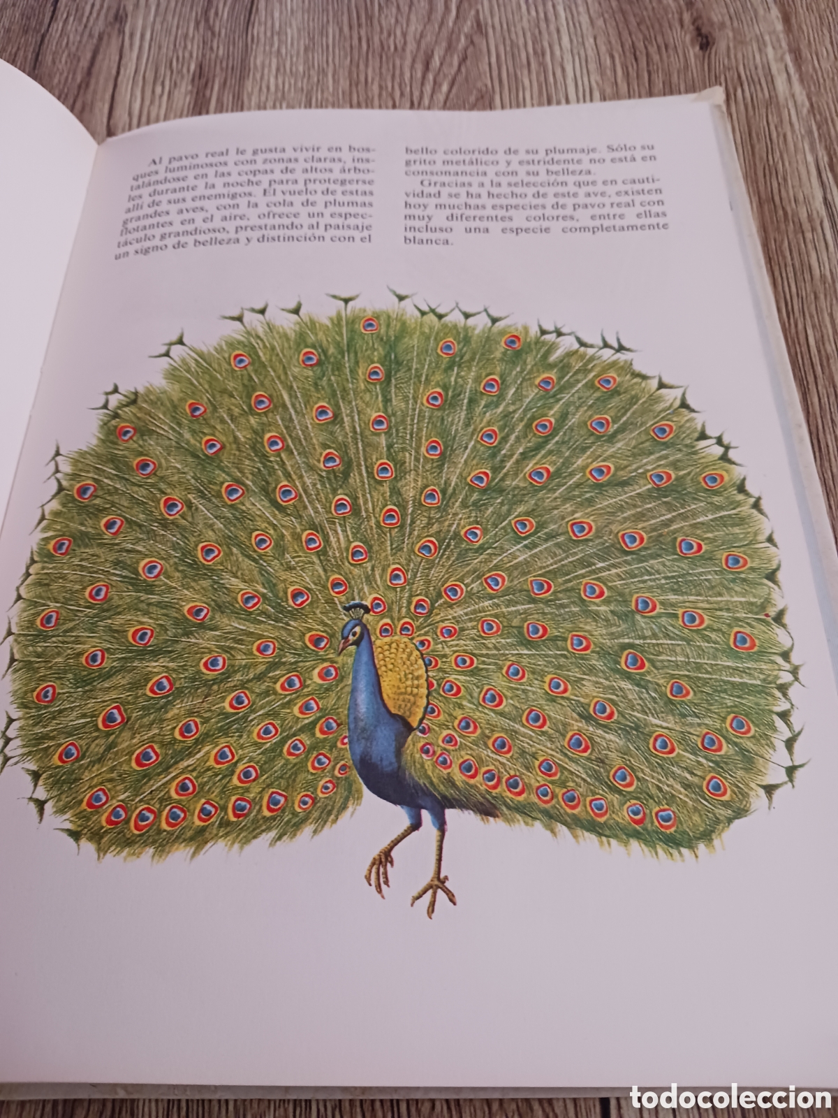 Libros de segunda mano: Conoce las Aves y los Reptiles. - Foto 12