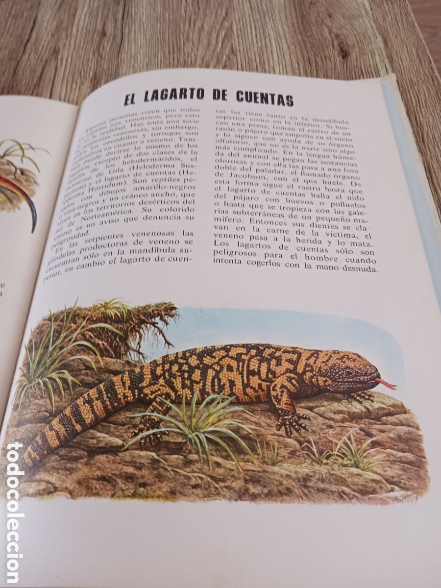 Libros de segunda mano: Conoce las Aves y los Reptiles. - Foto 13