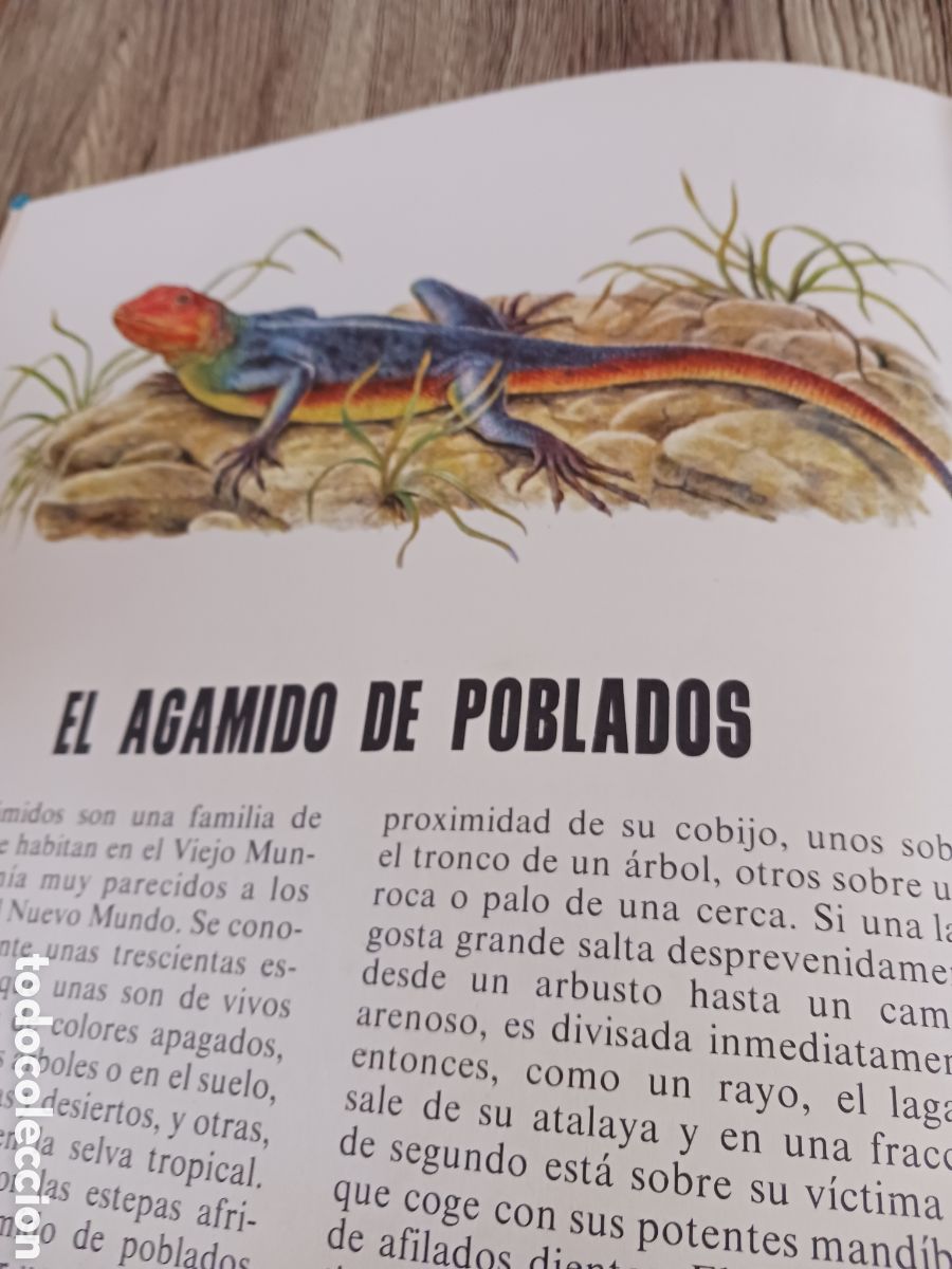 Libros de segunda mano: Conoce las Aves y los Reptiles. - Foto 14