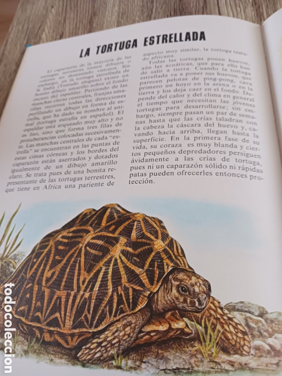Libros de segunda mano: Conoce las Aves y los Reptiles. - Foto 15